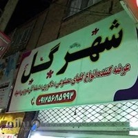 شهر گل