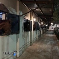 باشگاه سوارکاری چابک
