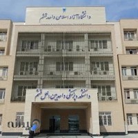 دانشگاه آزاد اسلامی واحد قشم