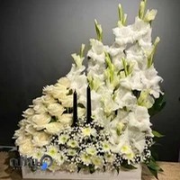 گل شقایق