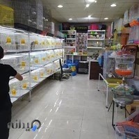 پرنده سرای پرهام