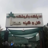 گل و گیاه صدرا