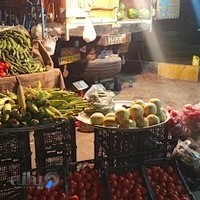 میوه فروشی فرحانی﷼