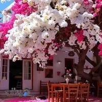 تعمیرات آسانسور اهواز رونیکا