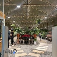 گل و گیاه نیلوفر