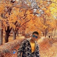 کتابفروشی صدرا