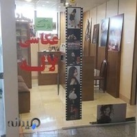 عکاسی لاله