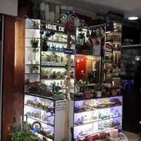 فروشگاه هوم کاکتوس