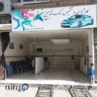 تشخیص رنگ نجفی