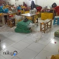 تولیدی دیاکو