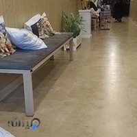 Persian Pet Clinic کلینیک حیوانات پرشین