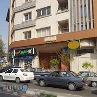 دکتر مسعود صدرالدینی