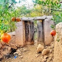 آتلیه تشریفات رشیدآبادی