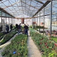 گل و گیاه برادران رحیمی
