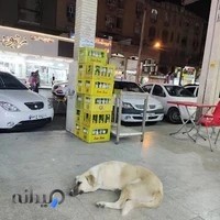 آزمایشگاه دکتر صدقی