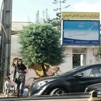 مهد کودک شکرستان