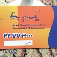 پیک موتوری بادپا