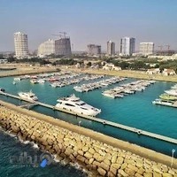 مارینا کیش