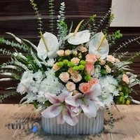 گل فروشی رزماری اکباتان