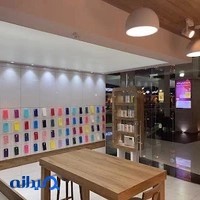 apple store soleimani