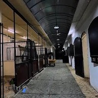 باشگاه سوارکاری رام