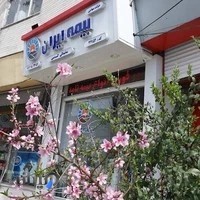 بیمه ایران نمایندگی گندمی