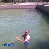 آلبوم پدیده