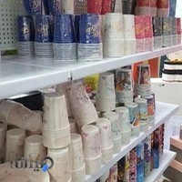 تم تولد صالحی