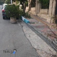 دکتر فرید مرادیان