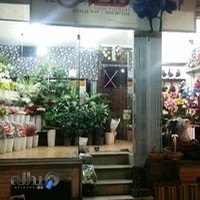قصر گل