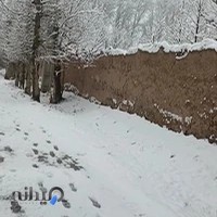 سالن تختی