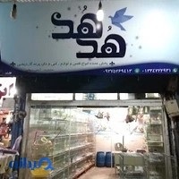 پرنده سرای هدهد
