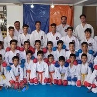 آکادمی کاراته پویا
