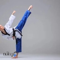تولیدی پارس رزم