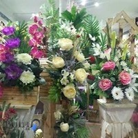 فروشگاه ماهیگون