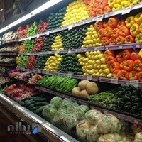 میوه و تره بار برادران شاملو لطیفی