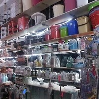پلاسکو اسدی