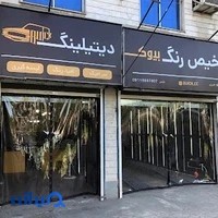 تشخیص رنگ بیوک