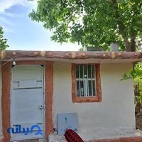 کلبه درختی