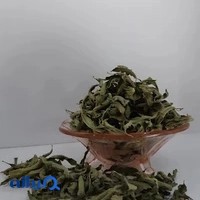 گیاهان دارویی