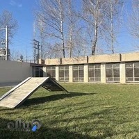 مجموعه سگ/پانسیون و آموزش سگ