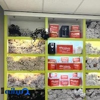 الکترونیک خلیج فارس