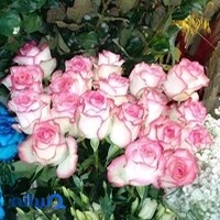 گلفروشی وی ای پیvip