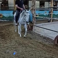 باشگاه سوارکاری سمند