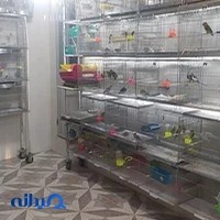 پرنده سرای کاسکو