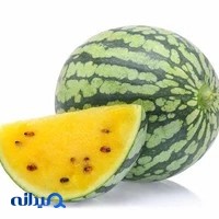 فروشگاه اینترنتی بذرینو