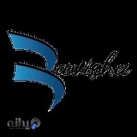 گروه مهندسی باویشا