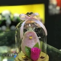 عروسك،بسته بندى و تزيين كادو پاليز