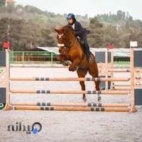 باشگاه سوارکاری یال