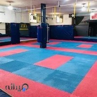 باشگاه فرهنگی ورزشی آل یاسین